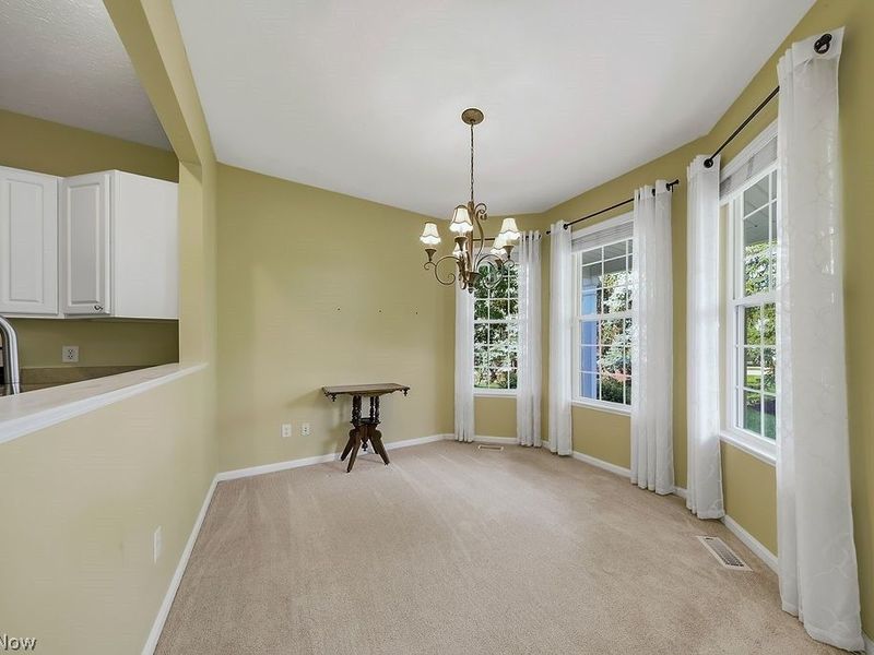 4 Whitaker Cove, Avon Lake, OH 44012 Photo 17
