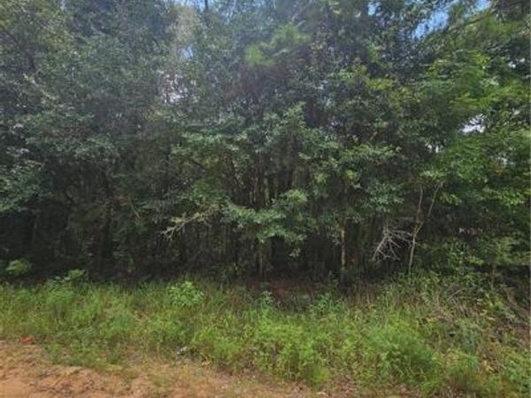 6861 Spice Pond Drive , Eight Mile, AL 36613