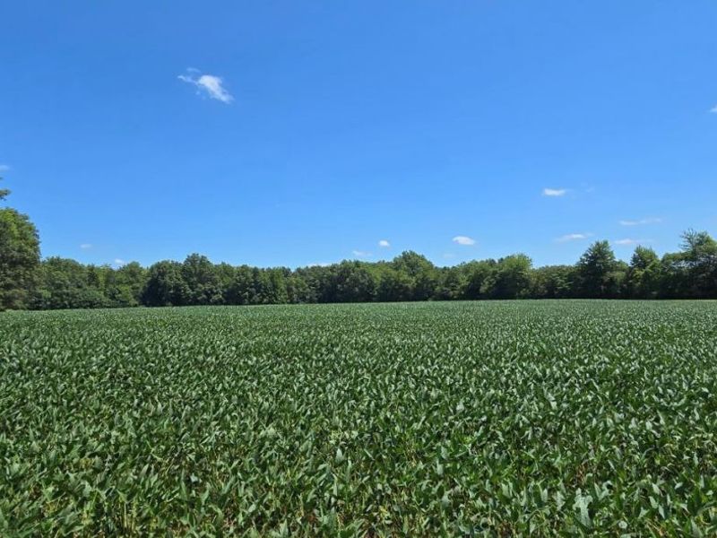 0 Fayetteville Blanchester Road, Perry Twp, OH 45107 Photo 12