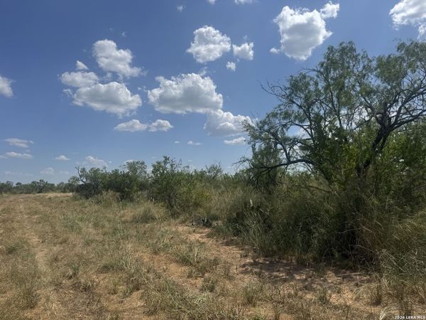 000 Ave. O, Christine, TX 78012