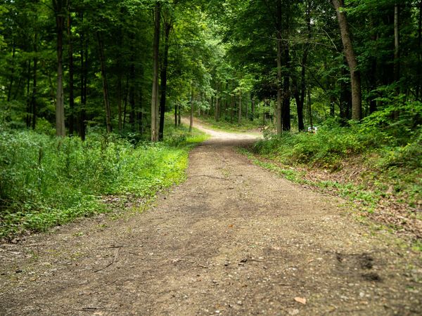 V/L 2000 Ryan Road, Hastings, MI 49058