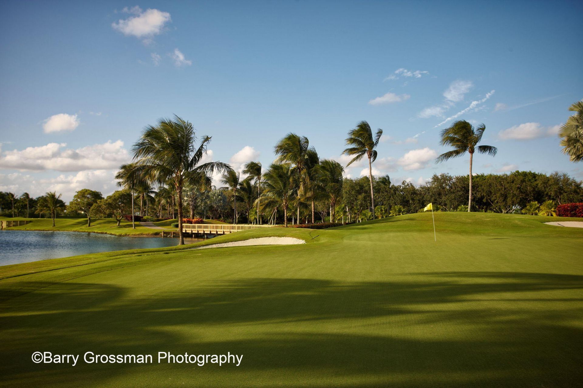 6439 NW 43rd Terrace, Boca Raton, FL 33496 Photo