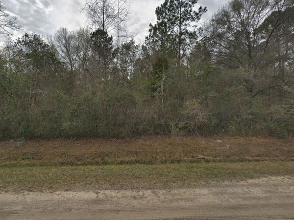 10135 NIKOLICH AVENUE , HASTINGS, FL 32145