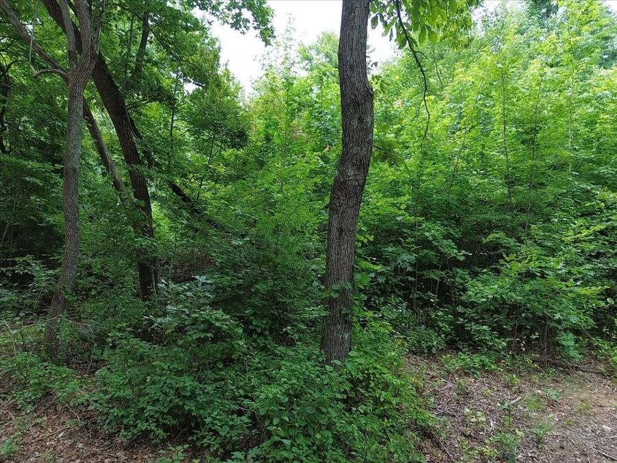 Property Image 37