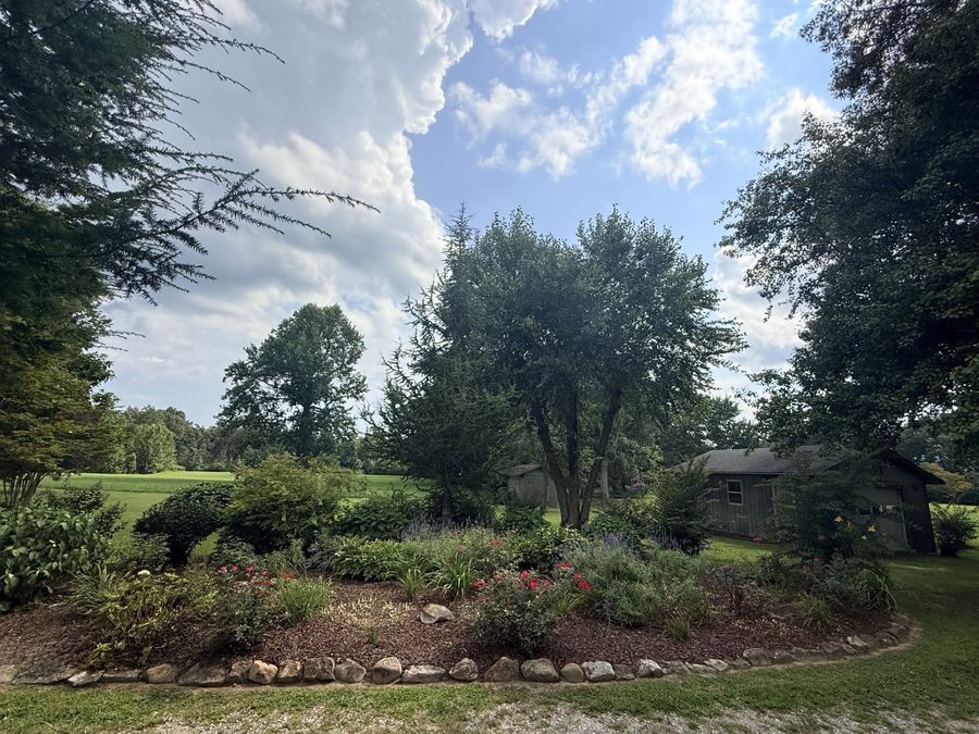 Property Image 58