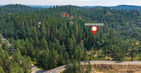 18925 Applegate Rd, Applegate, CA 95703 Photo