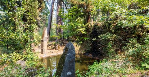 18925 Applegate Rd, Applegate, CA 95703 Photo