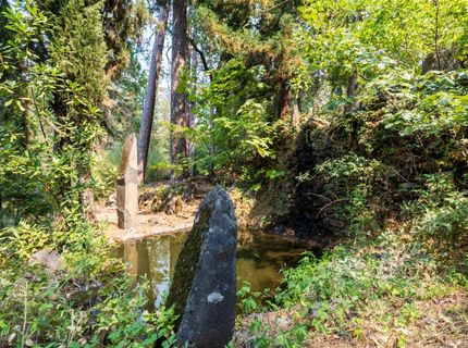 18925 Applegate Rd, Applegate, CA 95703 Photo