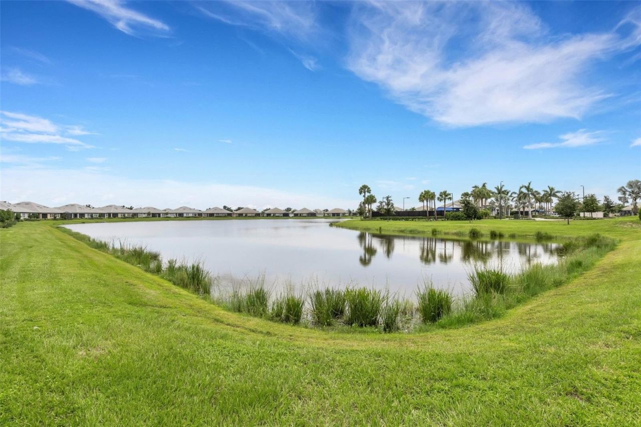 18135 Cherished Loop, Bradenton, FL 34211 Photo