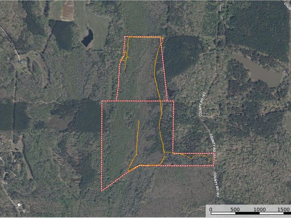 Co Rd 183, Blue Springs, MS 38828