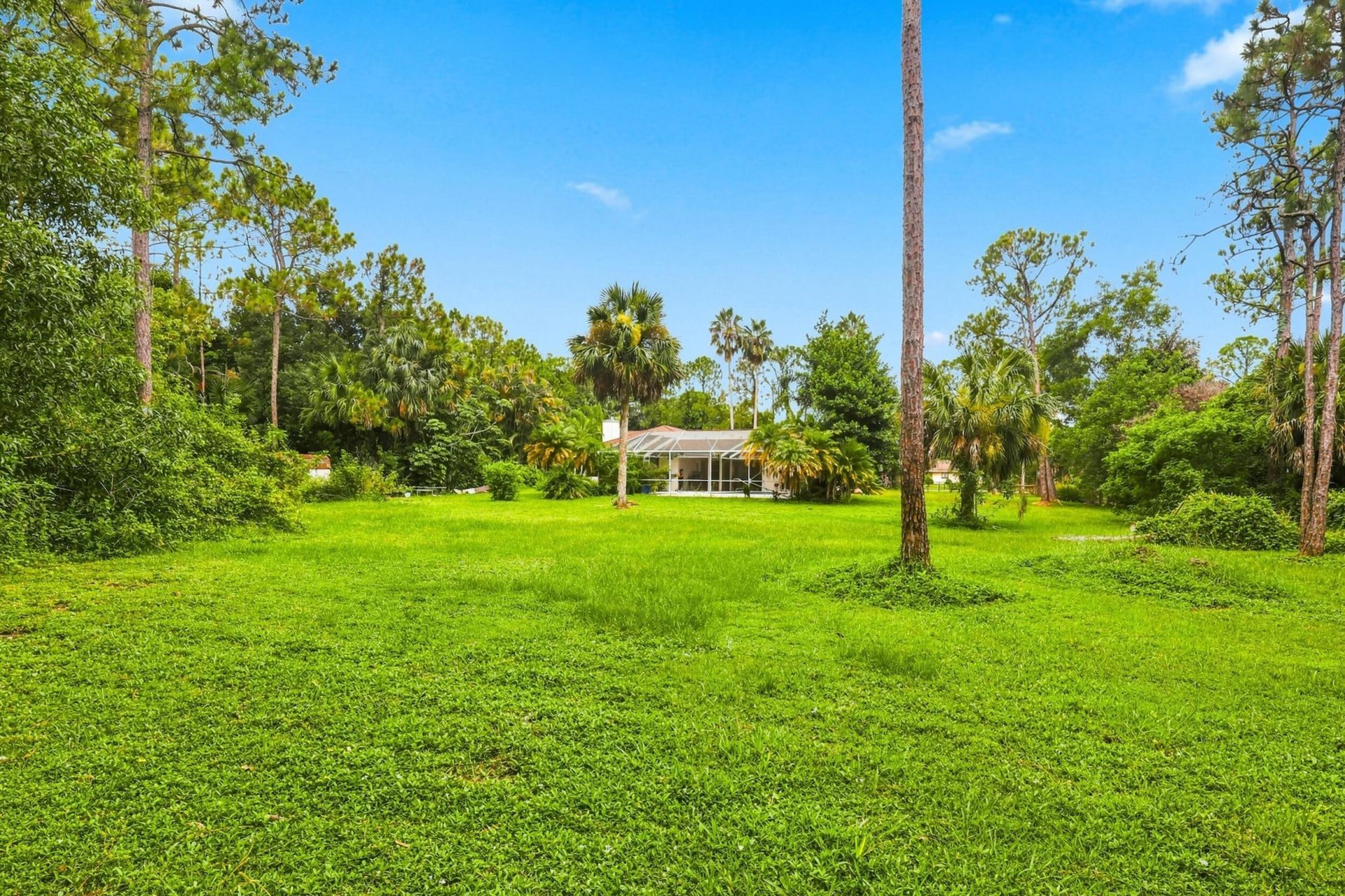 11389 150th Court N, Jupiter Farms, FL 33478 Photo