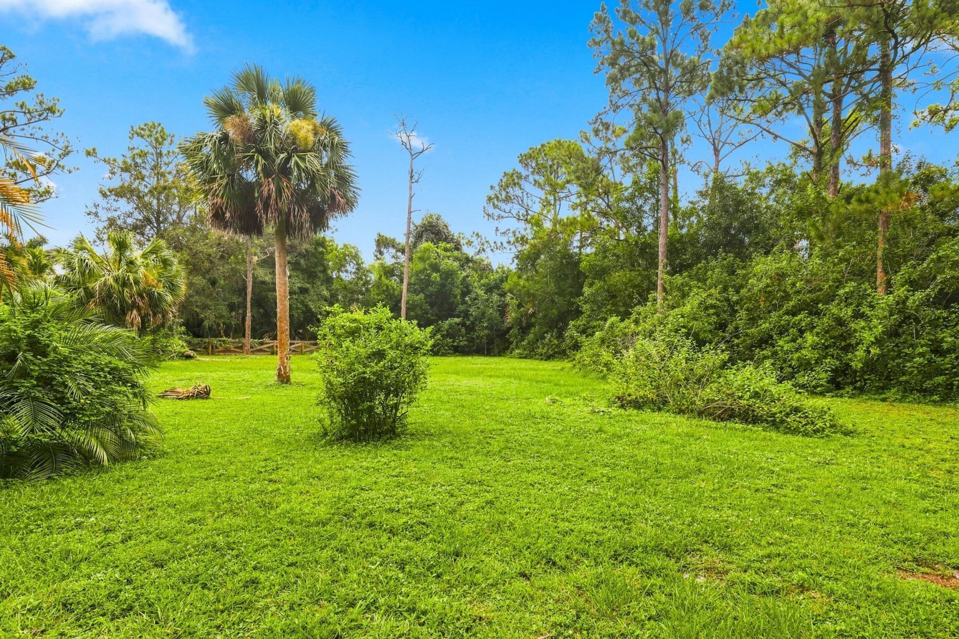 11389 150th Court N, Jupiter Farms, FL 33478 Photo