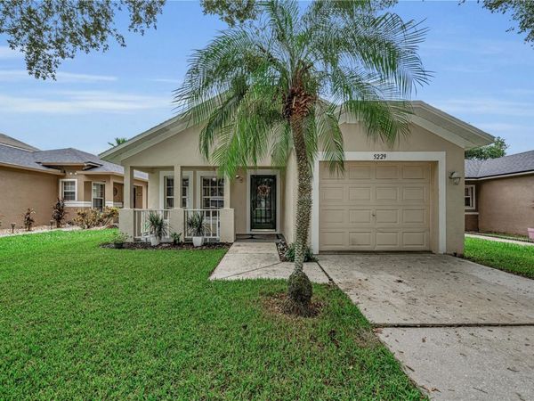 5229 MANGO FRUIT STREET , SEFFNER, FL 33584