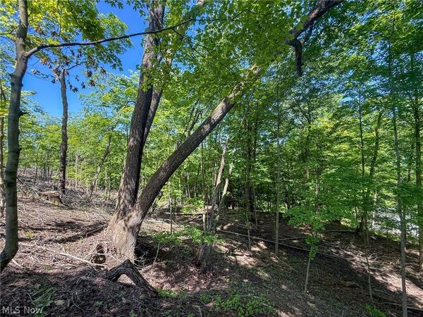 Lot 1 Altamont Rd , Mingo Junction, OH 43938