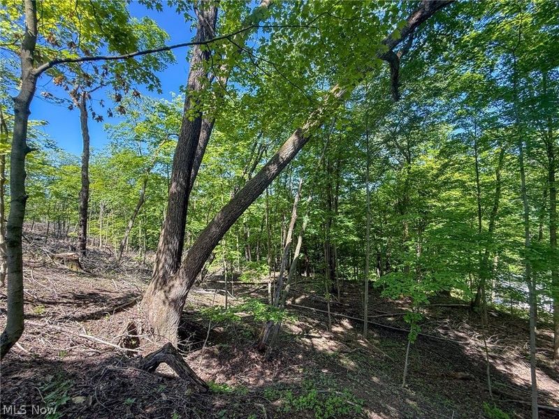 Lot 1 Altamont Rd, Mingo Junction, OH 43938 Photo 1