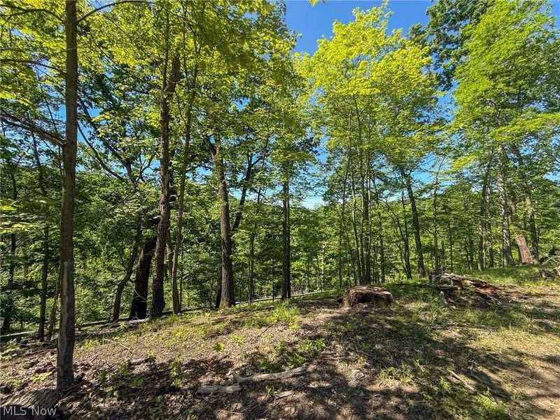 Lot 1 Altamont Rd, Mingo Junction, OH 43938 Photo 10