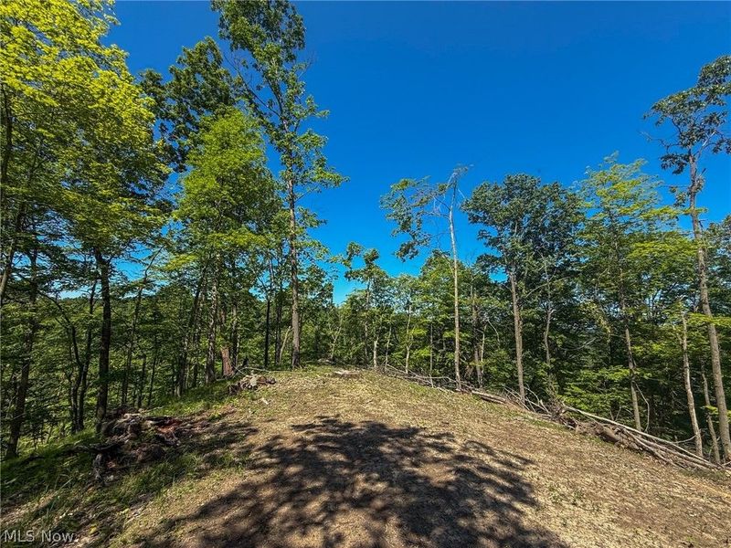 Lot 1 Altamont Rd, Mingo Junction, OH 43938 Photo 11