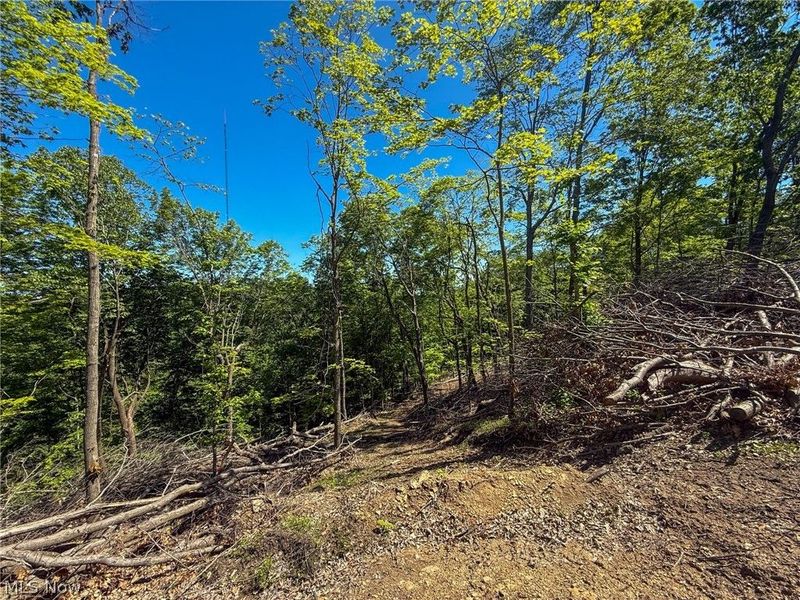 Lot 1 Altamont Rd, Mingo Junction, OH 43938 Photo 12