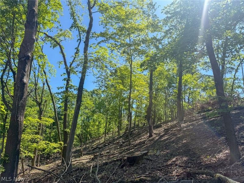 Lot 1 Altamont Rd, Mingo Junction, OH 43938 Photo 13