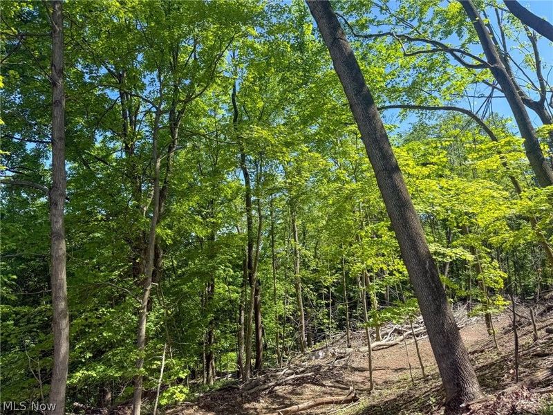 Lot 1 Altamont Rd, Mingo Junction, OH 43938 Photo 14