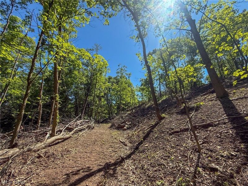Lot 1 Altamont Rd, Mingo Junction, OH 43938 Photo 15
