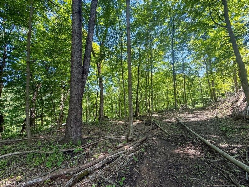 Lot 1 Altamont Rd, Mingo Junction, OH 43938 Photo 16