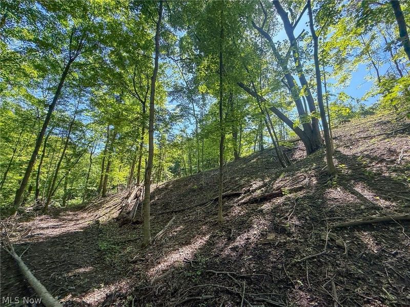 Lot 1 Altamont Rd, Mingo Junction, OH 43938 Photo 17