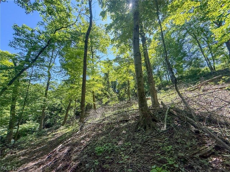 Lot 1 Altamont Rd, Mingo Junction, OH 43938 Photo 18