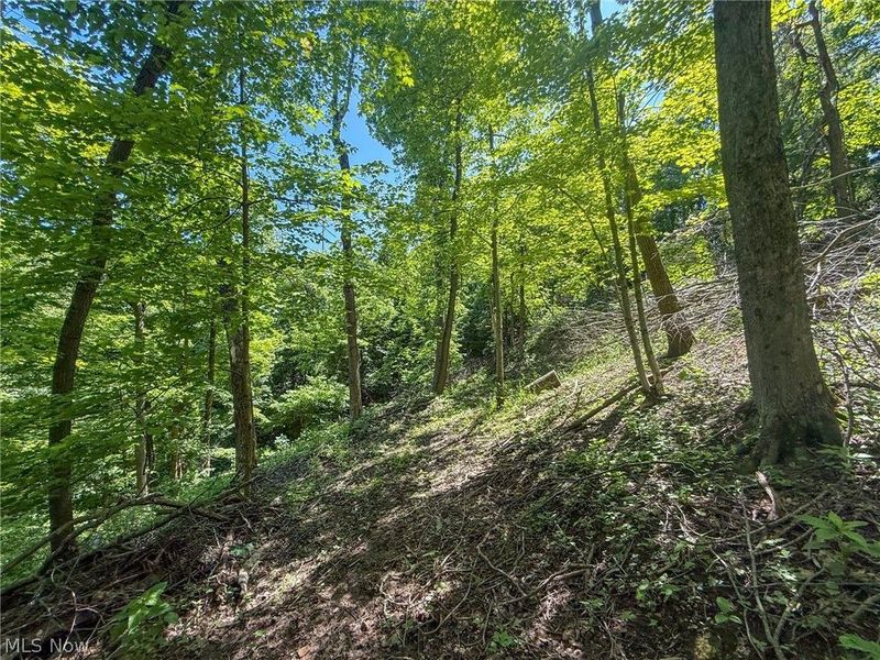 Lot 1 Altamont Rd, Mingo Junction, OH 43938 Photo 19
