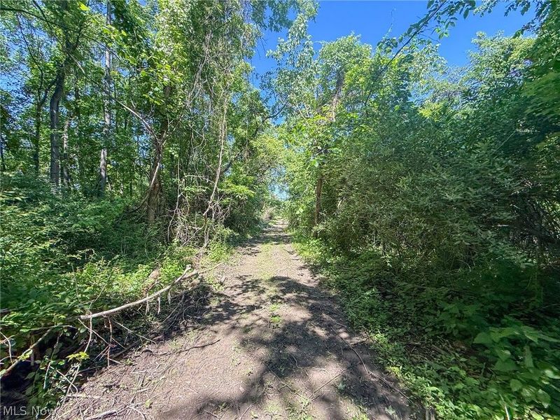 Lot 1 Altamont Rd, Mingo Junction, OH 43938 Photo 2