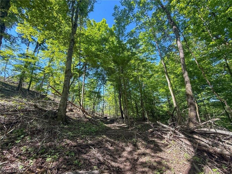Lot 1 Altamont Rd, Mingo Junction, OH 43938 Photo 20