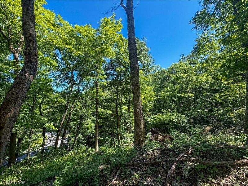 Lot 1 Altamont Rd, Mingo Junction, OH 43938 Photo 21