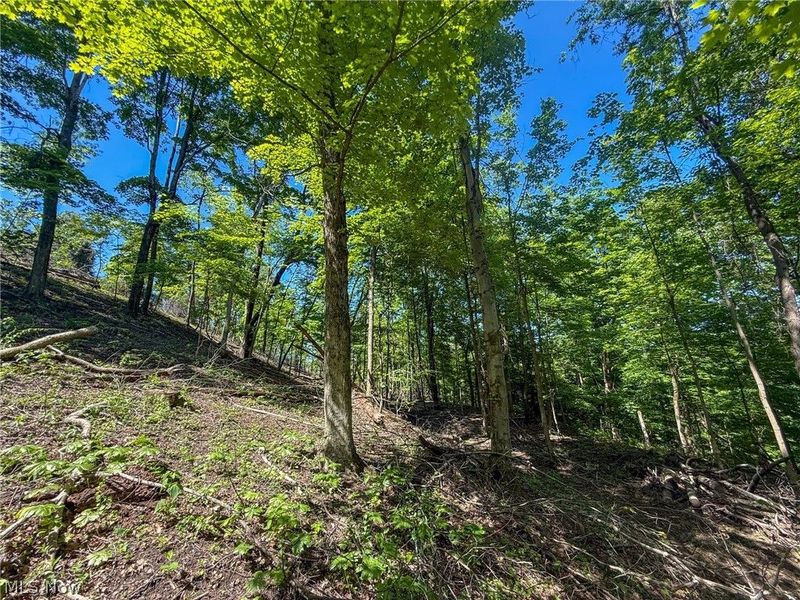Lot 1 Altamont Rd, Mingo Junction, OH 43938 Photo 22