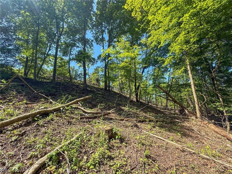 Lot 1 Altamont Rd, Mingo Junction, OH 43938 Photo 23