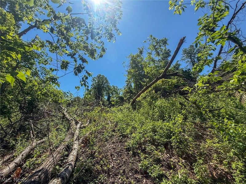 Lot 1 Altamont Rd, Mingo Junction, OH 43938 Photo 24