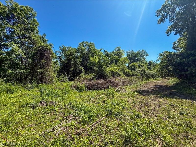 Lot 1 Altamont Rd, Mingo Junction, OH 43938 Photo 25