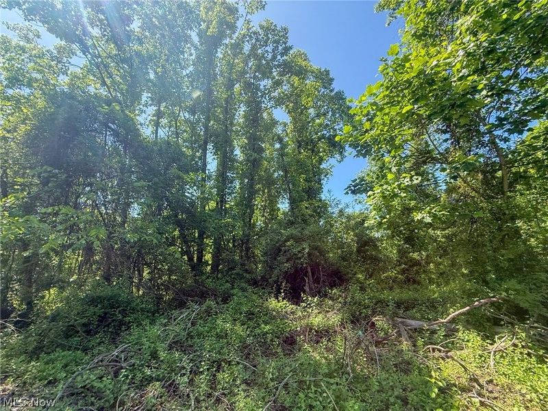 Lot 1 Altamont Rd, Mingo Junction, OH 43938 Photo 26