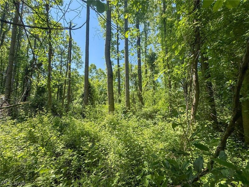 Lot 1 Altamont Rd, Mingo Junction, OH 43938 Photo 27