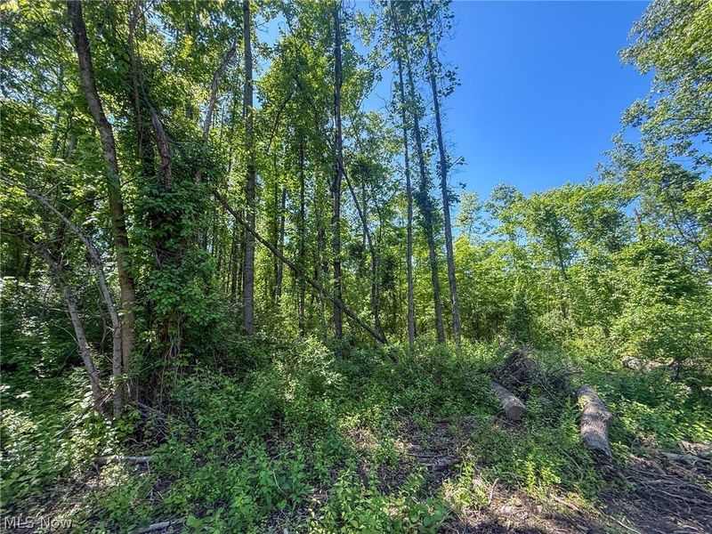 Lot 1 Altamont Rd, Mingo Junction, OH 43938 Photo 29
