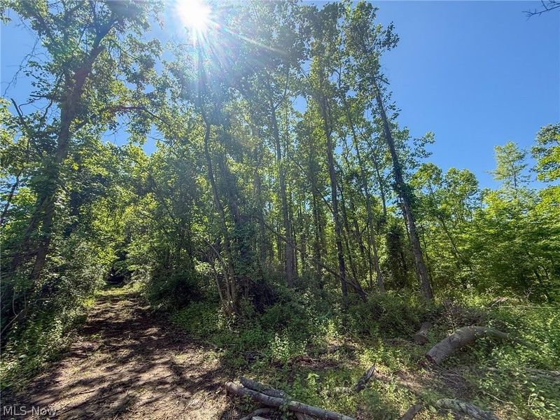 Lot 1 Altamont Rd, Mingo Junction, OH 43938 Photo 3