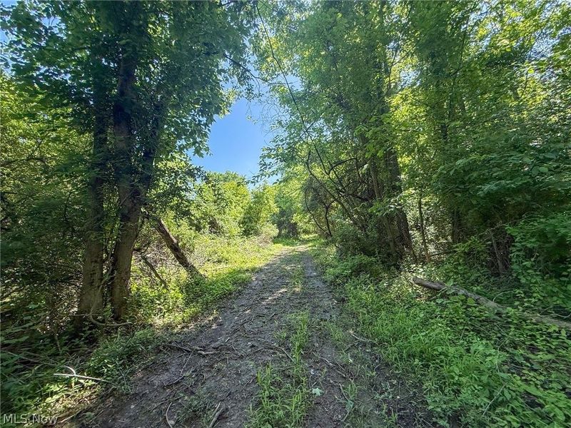 Lot 1 Altamont Rd, Mingo Junction, OH 43938 Photo 30