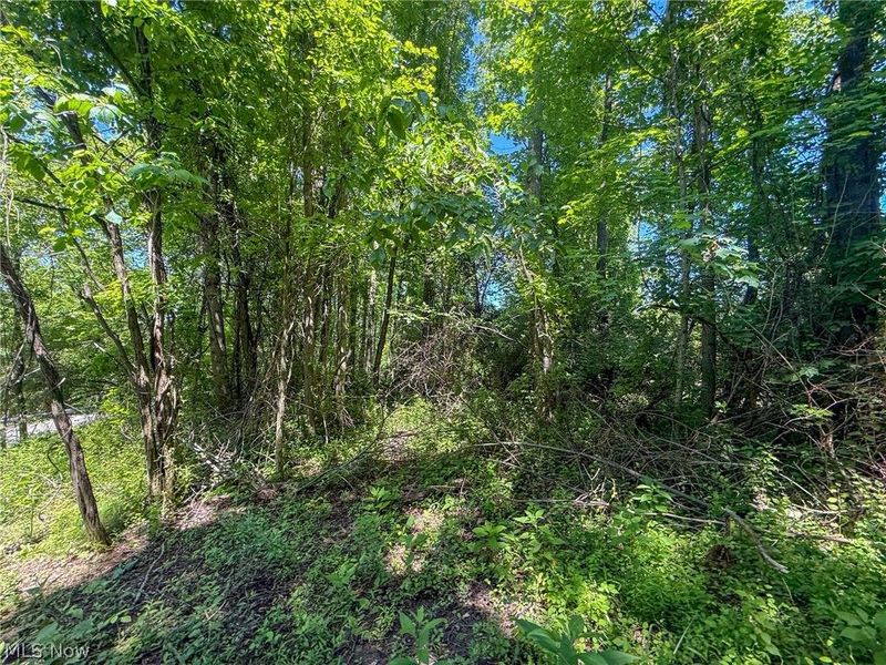 Lot 1 Altamont Rd, Mingo Junction, OH 43938 Photo 31