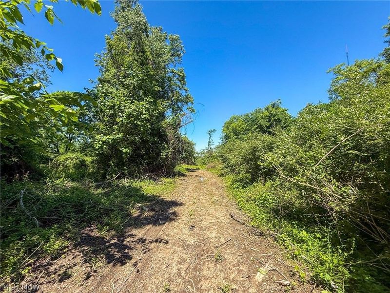 Lot 1 Altamont Rd, Mingo Junction, OH 43938 Photo 4