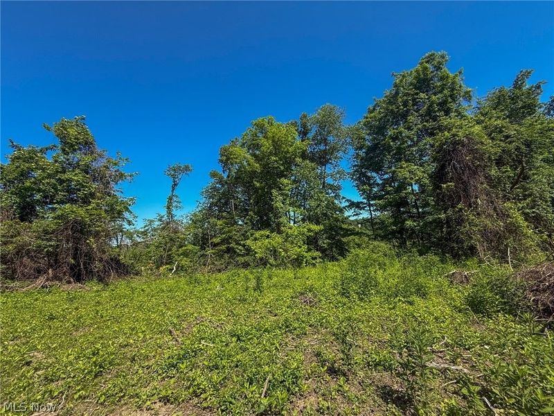 Lot 1 Altamont Rd, Mingo Junction, OH 43938 Photo 5