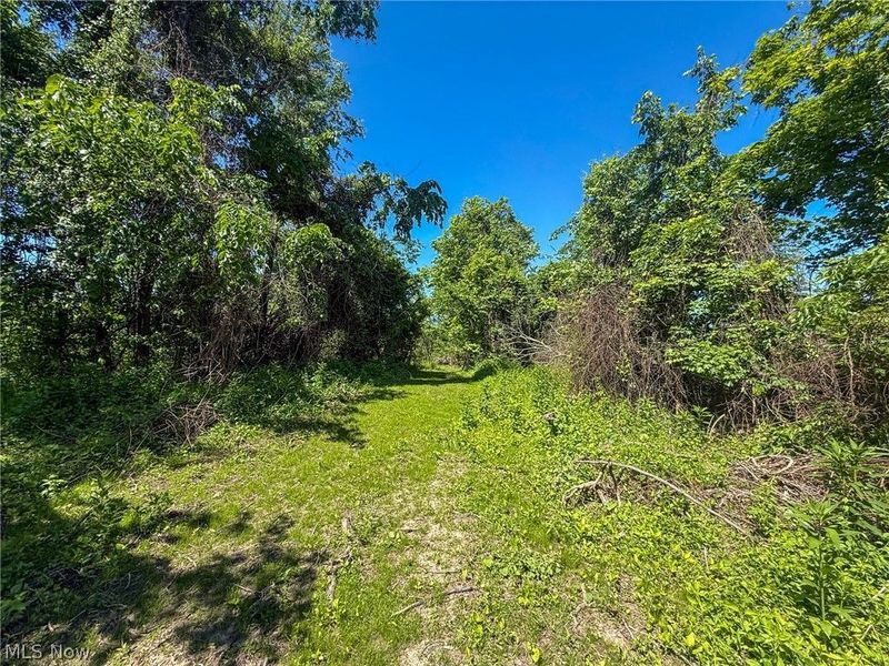 Lot 1 Altamont Rd, Mingo Junction, OH 43938 Photo 6
