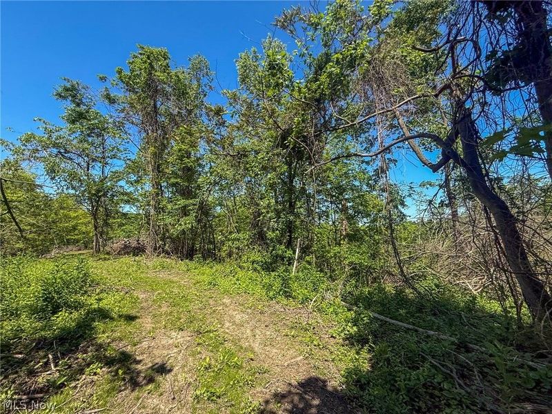 Lot 1 Altamont Rd, Mingo Junction, OH 43938 Photo 7