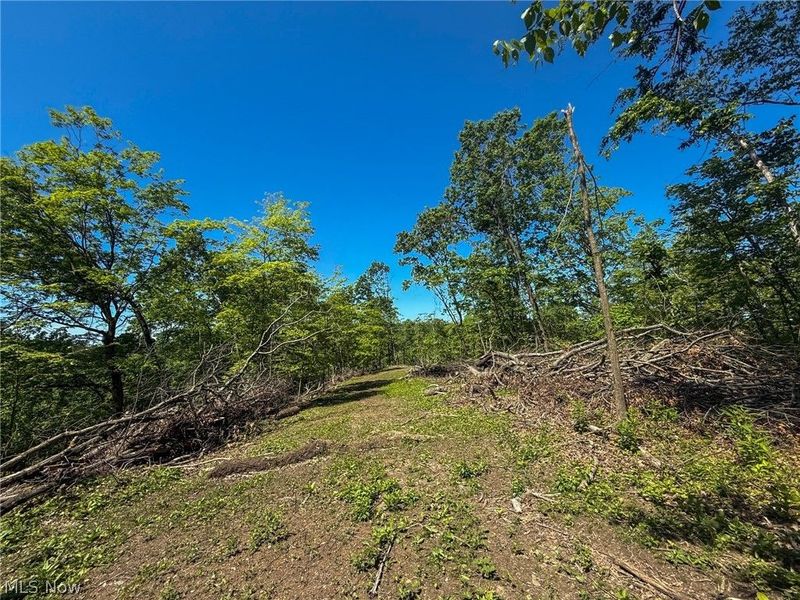 Lot 1 Altamont Rd, Mingo Junction, OH 43938 Photo 8
