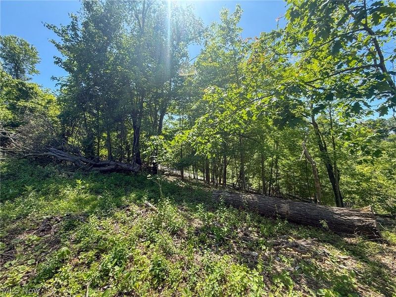 Lot 1 Altamont Rd, Mingo Junction, OH 43938 Photo 9