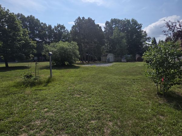 7967 W Fox Road, Mears, MI 49436