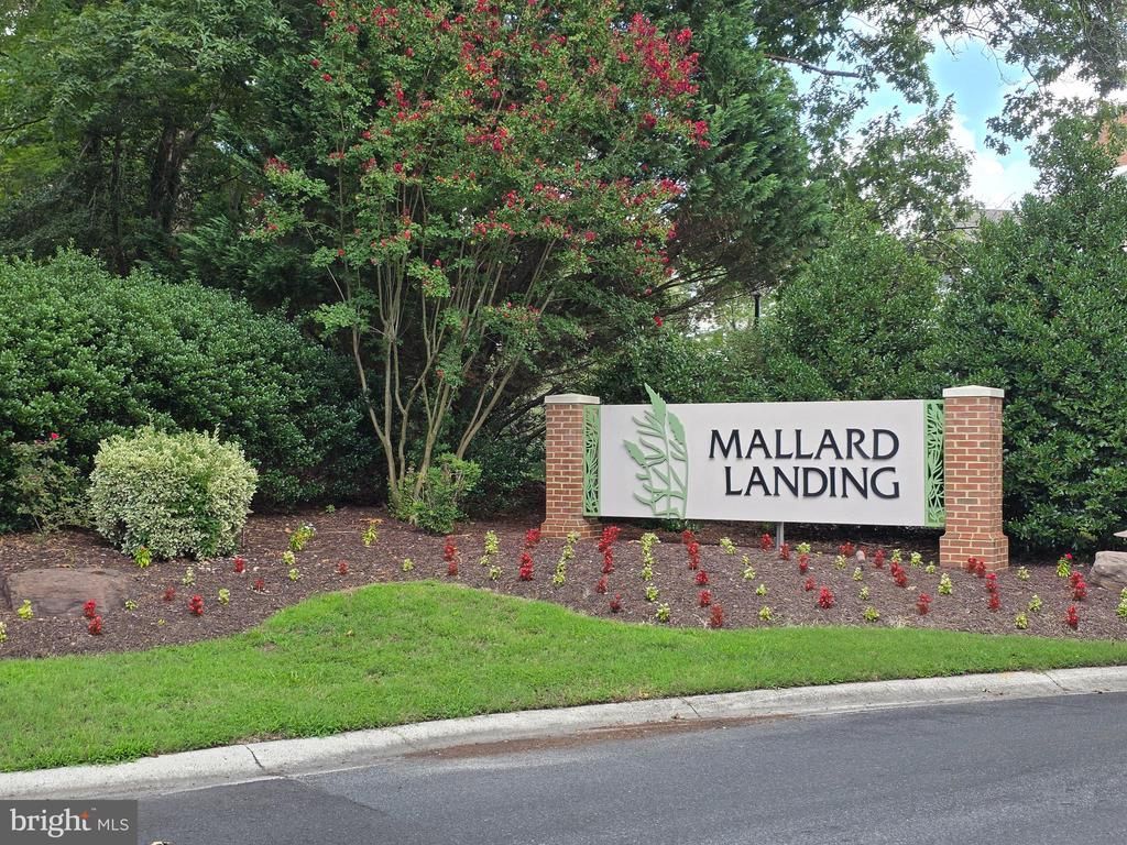 1105 S SCHUMAKER DRIVE , SALISBURY, MD 21804